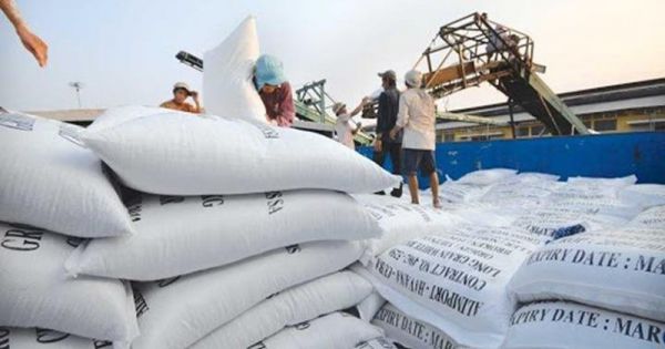 Xuất khẩu gạo của Việt Nam năm 2020 đạt 3,07 tỷ USD