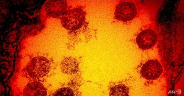 Romania xác nhận trường hợp đầu tiên có biến thể mới virus SARS-CoV-2