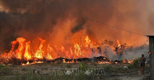 Cháy rừng tại Chile, hơn 25.000 người phải sơ tán