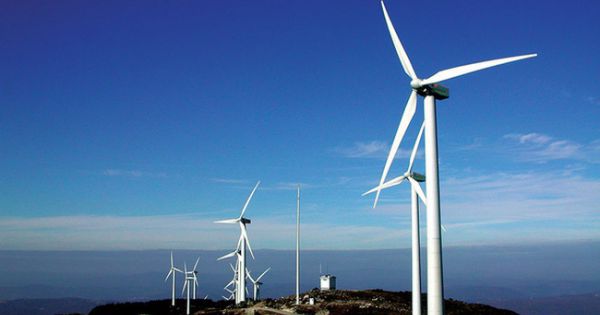 Cà Mau khởi công dự án điện gió 10.000 tỷ đồng