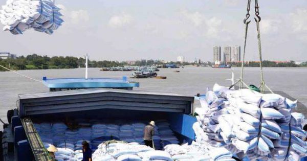 Việt Nam xuất khẩu gạo sang Philippines lần đầu đạt hơn 1 tỷ USD