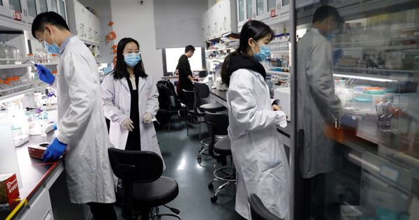 Trung Quốc phát triển liệu pháp gene làm chậm lão hóa