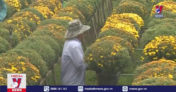 Truyền thông quốc tế đưa tin về Làng hoa Sa Đéc của Việt Nam
