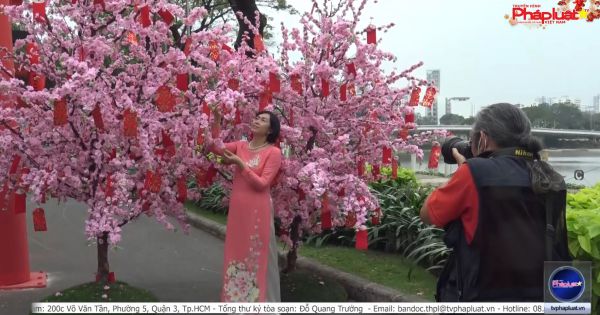 TP HCM: Ngắm đường hoa dài 700m ở Phú Mỹ Hưng