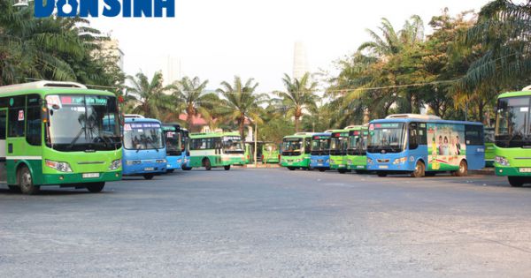 TP.HCM kiến nghị sử dụng xe buýt từ 12 đến 17 chỗ