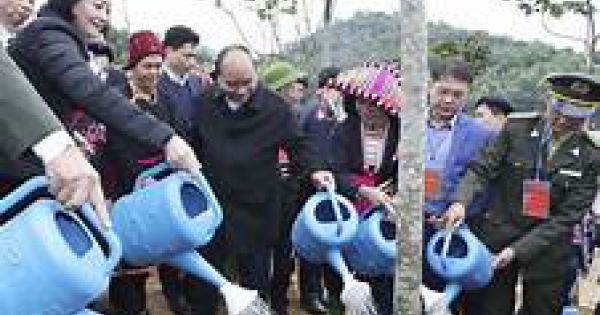 Thủ tướng phát động Tết trồng cây, Phú Yên sẽ trồng mới 15 triệu cây xanh