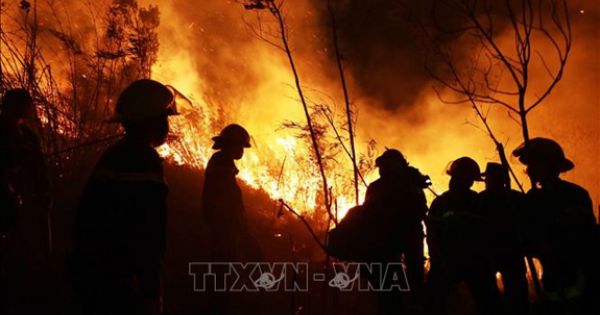 Cháy rừng bùng phát và lan rộng tại huyện Tam Đường tỉnh Lai Châu