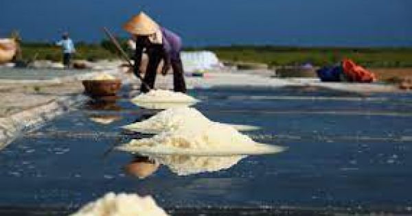 Xuất cấp 639,5 tấn muối trắng hỗ trợ người dân Hà Tĩnh bị thiên tai