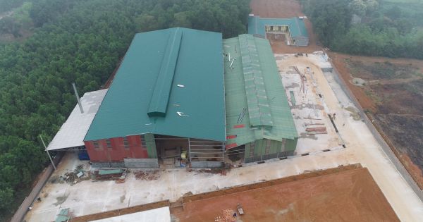 Phú Thọ: Công ty TNHH Minh Thắng xây dựng nhà xưởng trái phép trên đất rừng rộng hàng nghìn mét vuông- Kỳ 1