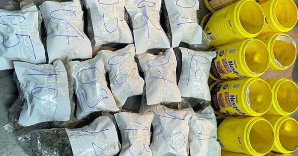Phát hiện gần 6kg thảo mộc khô nghi ma túy tại sân bay Tân Sơn Nhất