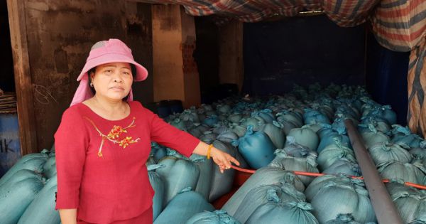Quảng Trị: 600 tấn hải sản tồn kho sau 5 năm sự cố Formosa vẫn chưa được tiêu hủy