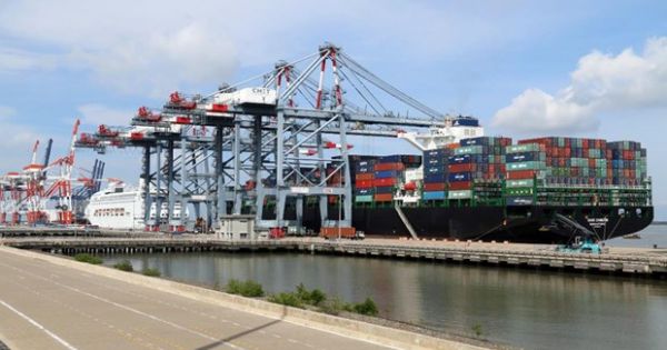 Đồng Nai sẽ thu hồi hàng loạt dự án cảng biển ở Nhơn Trạch
