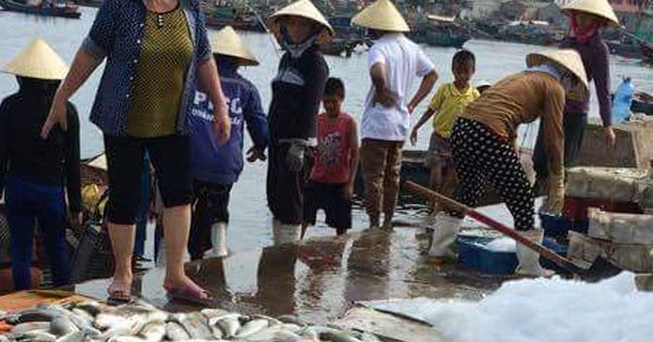 30 tấn cá chết bất thường ở xã Nghi Sơn, Thanh Hóa