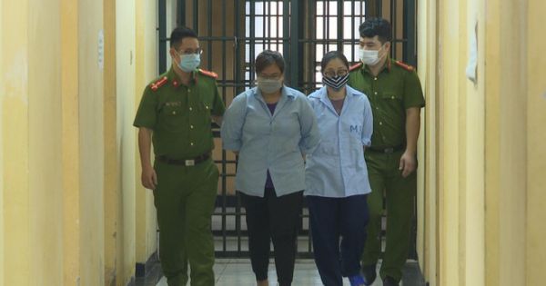 Bác sĩ trong đường dây mang thai hộ không có giấy phép hành nghề tại Hà Nội