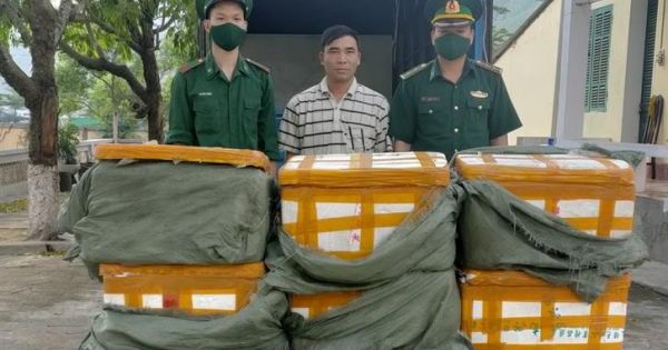 Quảng Ninh: Phát hiện 4 tạ nội tạng lợn nhập lậu từ Trung Quốc