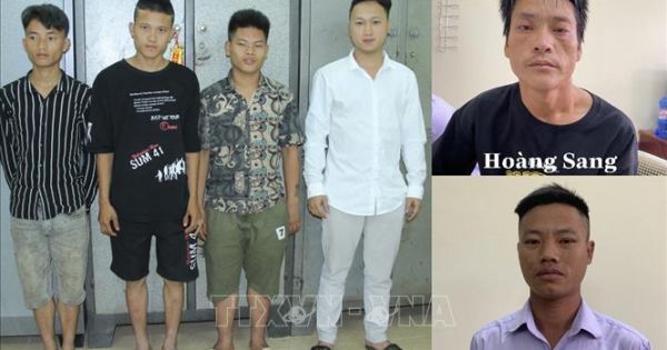 Bắt nghi phạm 23 tuổi tổ chức cho 200 người vượt biên trái phép ở Lào Cai