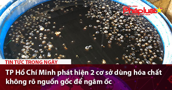 TP Hồ Chí Minh phát hiện 2 cơ sở dùng hóa chất không rõ nguồn gốc để ngâm ốc