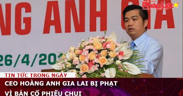 CEO Hoàng Anh Gia Lai bị phạt vì bán cổ phiếu chui