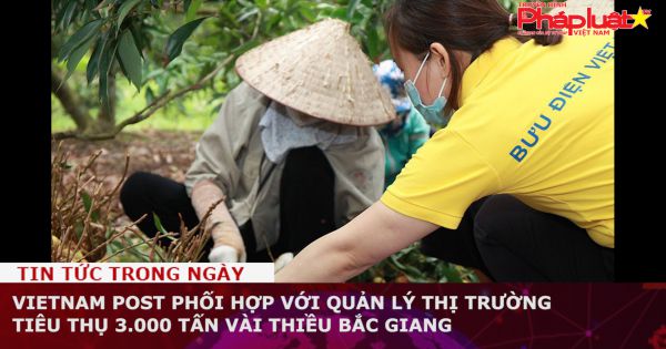 Vietnam Post phối hợp với Quản lý thị trường tiêu thụ 3.000 tấn vài thiều Bắc Giang