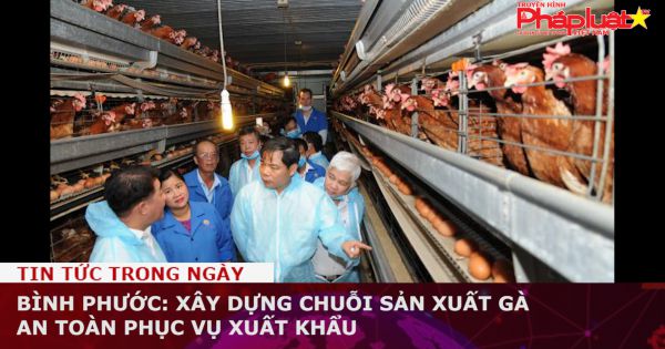 Bình Phước: Xây dựng chuỗi sản xuất gà an toàn phục vụ xuất khẩu