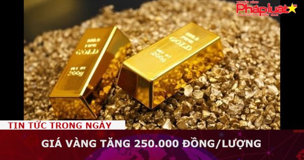 Giá vàng tăng 250.000 đồng/lượng