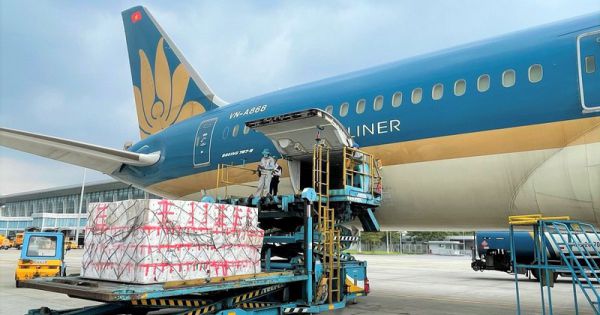 Vietnam Airlines dùng “siêu máy bay” để chở vải thiều vào TP.HCM