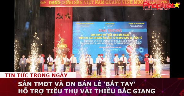 Sàn TMĐT và DN bán lẻ 'bắt tay' hỗ trợ tiêu thụ vải thiều Bắc Giang