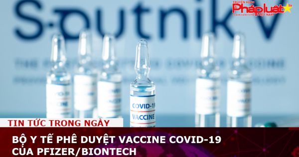 Bộ Y tế phê duyệt vaccine Covid-19 của Pfizer/BioNTech