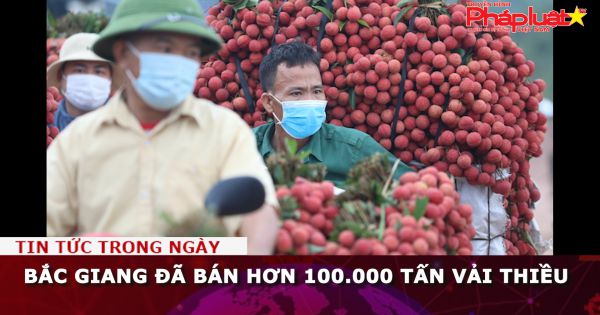 Bắc Giang đã bán hơn 100.000 tấn vải thiều