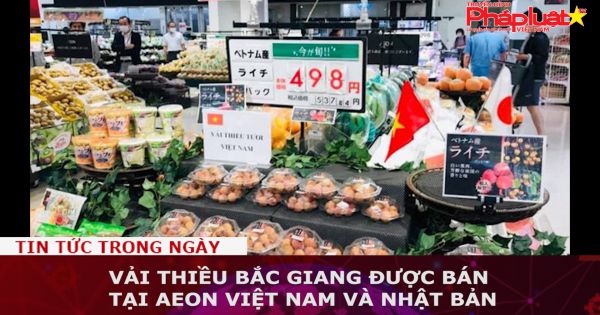 Vải thiều Bắc Giang được bán tại AEON Việt Nam và Nhật Bản
