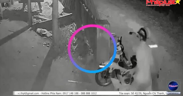 Nghệ An: Trộm chó còn dùng hung khí tấn công chủ nhà