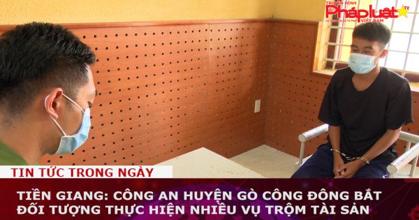 Tiền Giang: Công an huyện Gò Công Đông bắt đối tượng thực hiện nhiều vụ trộm tài sản