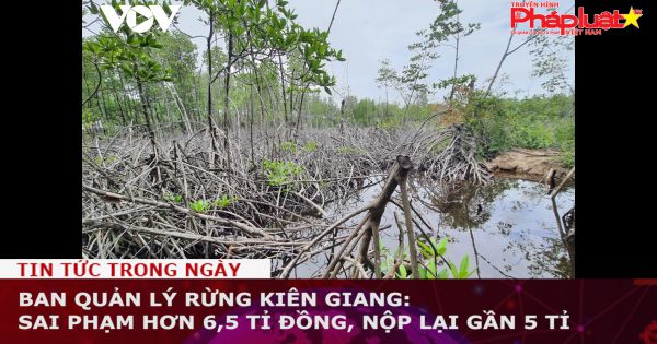 Ban quản lý rừng Kiên Giang: Sai phạm hơn 6,5 tỉ đồng, nộp lại gần 5 tỉ