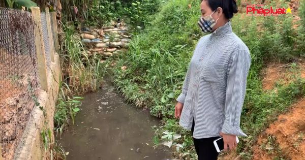 Phú Thọ: Trang trại lợn trong khu dân cư gây ô nhiễm môi trường nghiêm trọng