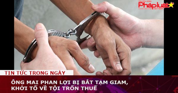 Ông Mai Phan Lợi bị bắt tạm giam, khởi tố về tội trốn thuế