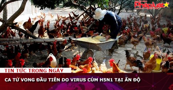 Ca tử vong đầu tiên do virus cúm H5N1 tại Ấn Độ
