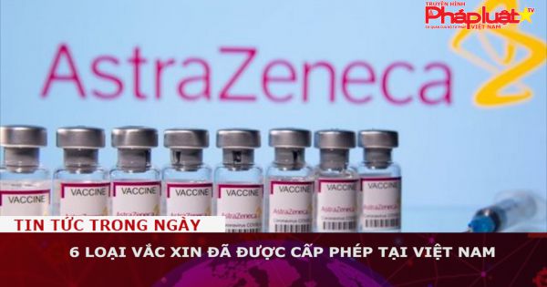 6 loại vắc xin đã được cấp phép tại Việt Nam