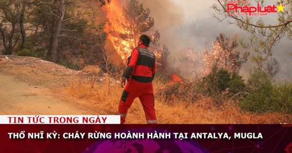 Thổ Nhĩ Kỳ: Cháy rừng hoành hành tại Antalya, Mugla