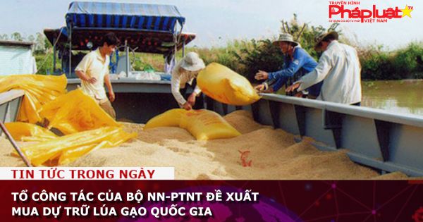 Tổ công tác của Bộ NN-PTNT đề xuất mua dự trữ lúa gạo quốc gia