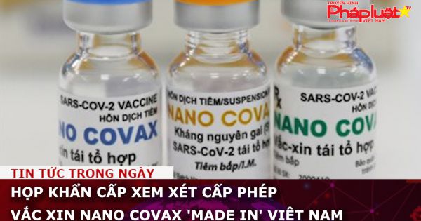 Họp khẩn cấp xem xét cấp phép vắc xin Nano Covax 