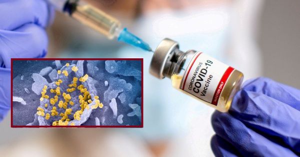 Biến chủng Lambda lây nhiễm mạnh hơn và kháng vaccine