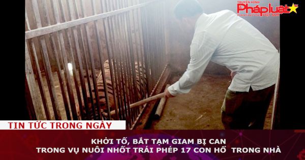 Nghệ An: Khởi tố, bắt tạm giam người nuôi nhốt 17 con hổ trong nhà