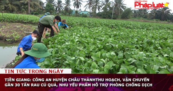 Tiền Giang: Công an huyện Châu Thành Thu hoạch, vận chuyển gần 30 tấn rau củ quả, nhu yếu phẩm hỗ trợ phòng chống dịch
