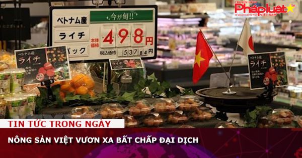 Nông sản Việt vươn xa bất chấp đại dịch