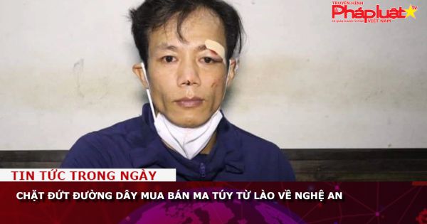 Chặt đứt đường dây mua bán ma túy từ Lào về Nghệ An