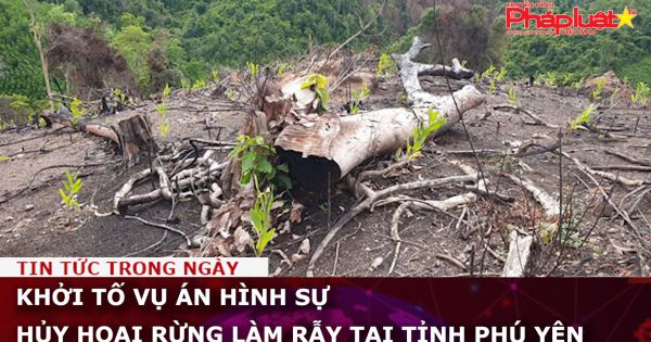 Khởi tố vụ án hình sự hủy hoại rừng làm rẫy tại tỉnh Phú Yên