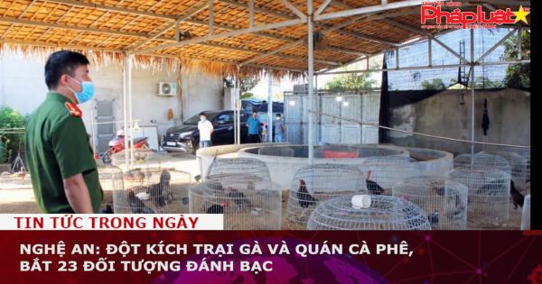 Nghệ An: Đột kích trại gà và quán cà phê, bắt 23 đối tượng đánh bạc