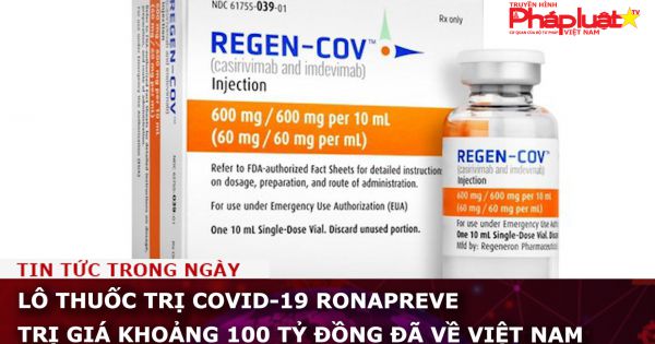 Lô thuốc trị COVID-19 RONAPREVE trị giá khoảng 100 tỷ đồng đã về Việt Nam