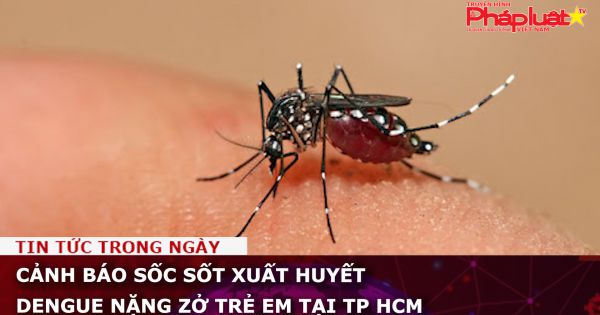 Cảnh báo sốc sốt xuất huyết Dengue nặng ở trẻ em tại TP HCM