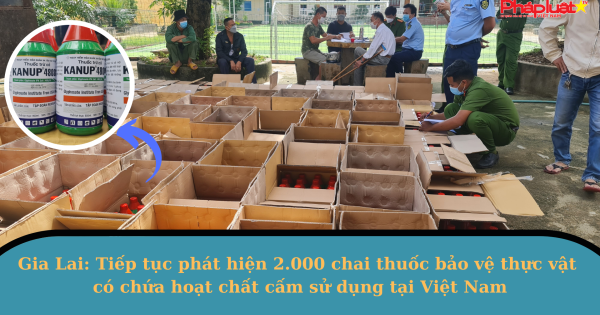 Gia Lai: Tiếp tục phát hiện 2.000 chai thuốc bảo vệ thực vật có chứa hoạt chất cấm sử dụng tại Việt Nam